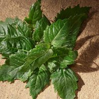 DEVOTION For Men  100ml-226537 DEVOTION For Men  100ml-226537 5